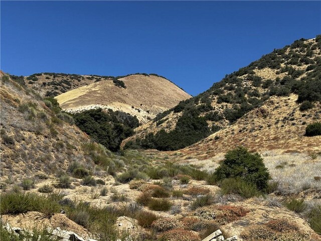 6 Chimney Canyon Rd, Lebec, CA 93243 - photo 10