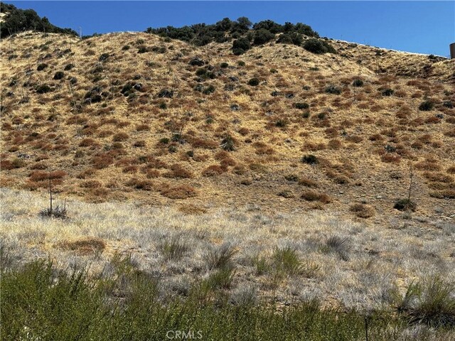 6 Chimney Canyon Rd, Lebec, CA 93243 - photo 8