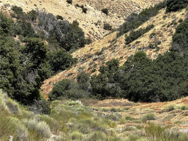 6 Chimney Canyon Rd, Lebec, CA 93243 - photo 7