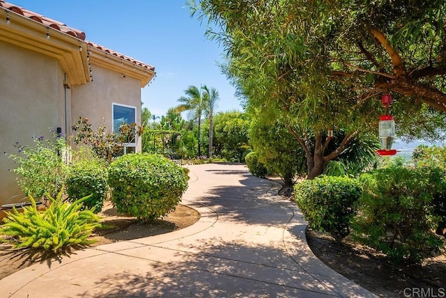 14106 Summit Crst, Escondido, CA 92025 - photo 54