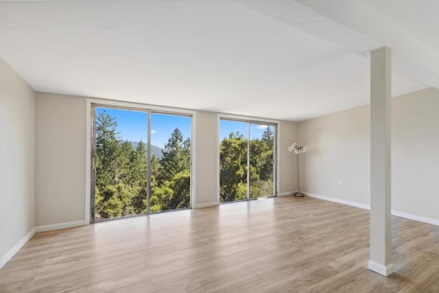 spare room featuring expansive windows and light hardwood / wood-style floors