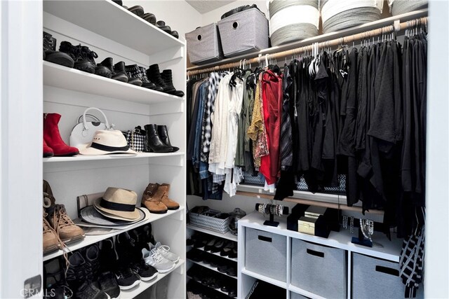 view of walk in closet