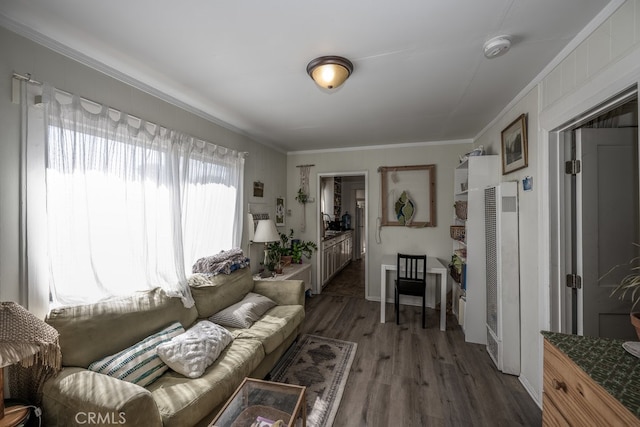 living room with crown molding and dark hardwood / wood-style floors