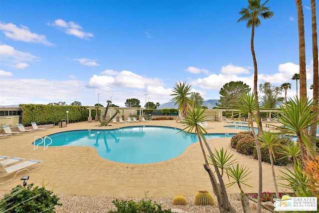 view of swimming pool featuring a patio area