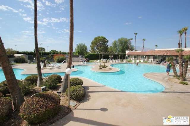 view of pool featuring a patio