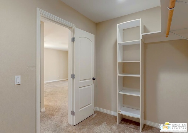 spacious closet with light carpet