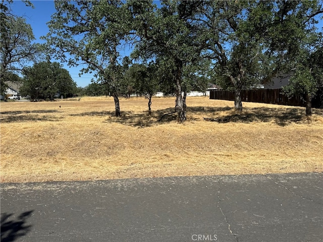 19691 Black Fox Dr, Cottonwood CA, 96022 land for sale