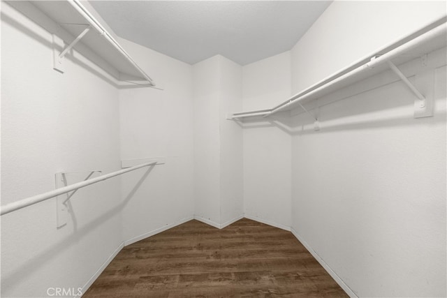 spacious closet with wood-type flooring