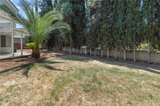 view of yard featuring a pergola and a patio area