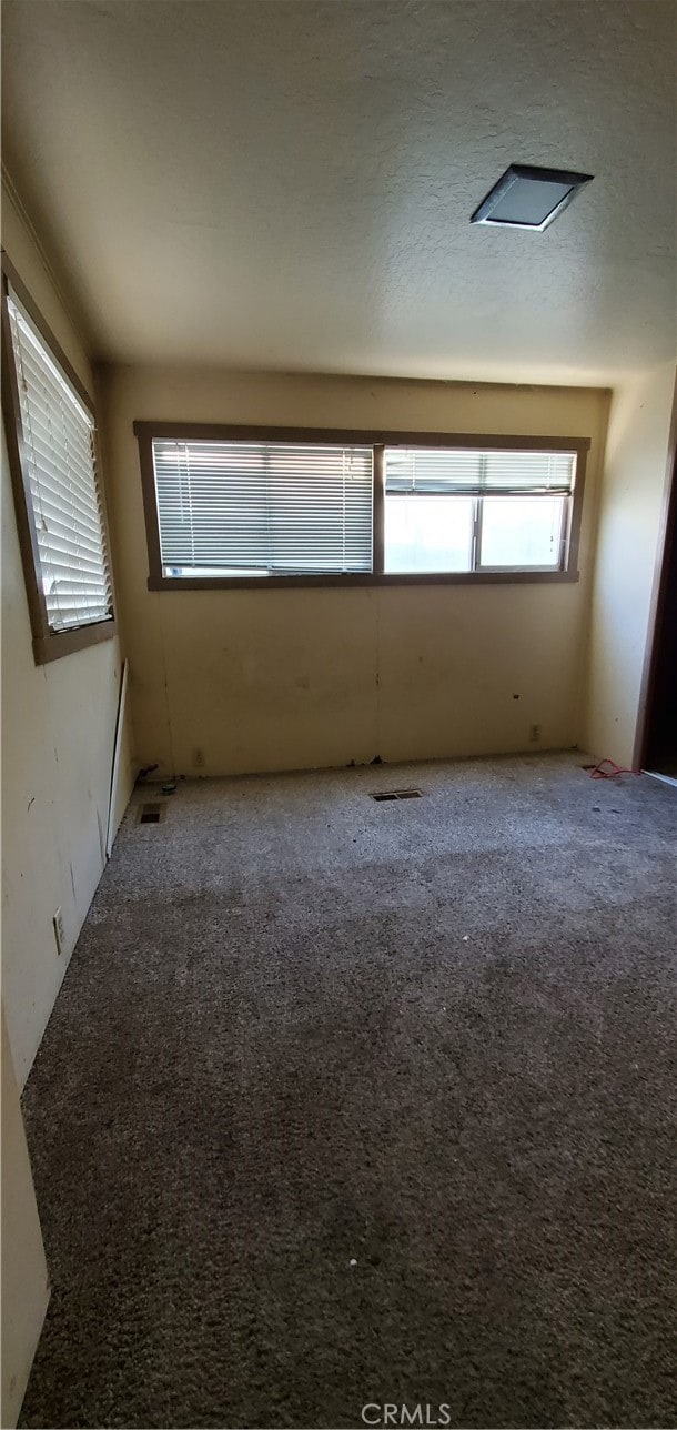 spare room with carpet