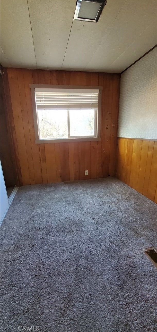 carpeted empty room featuring wooden walls and plenty of natural light