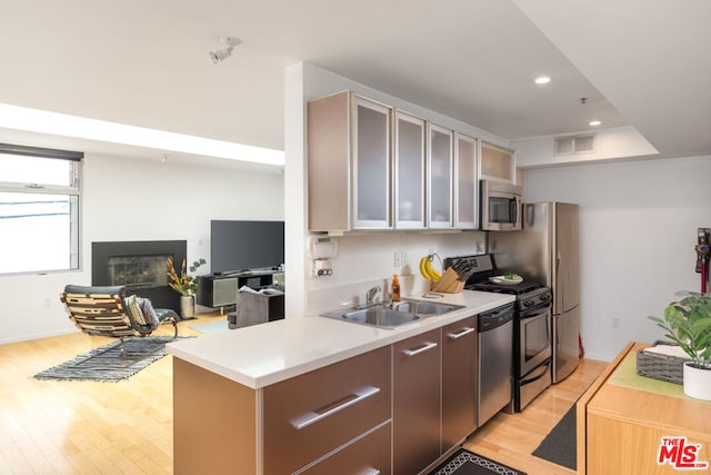 kitchen featuring light wood-type flooring, stainless steel appliances, and sink