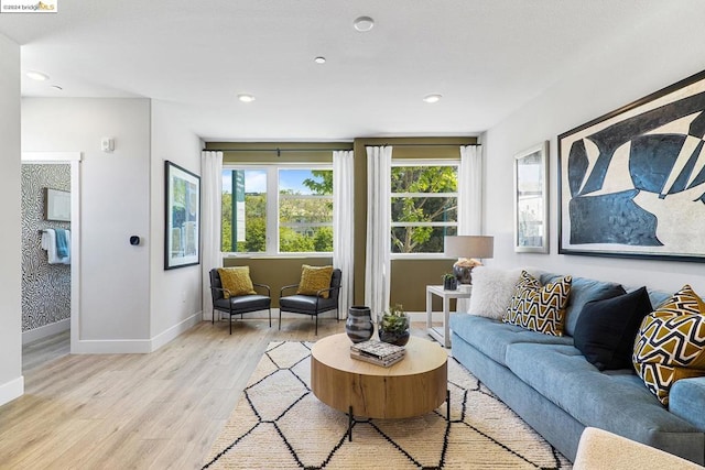 living room with light hardwood / wood-style flooring