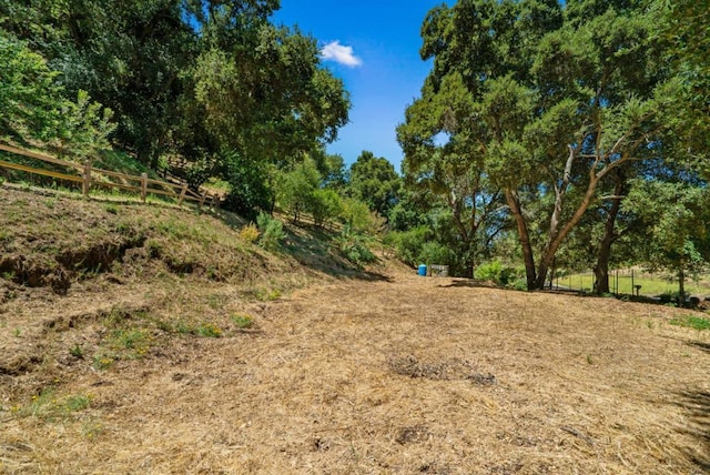 view of local wilderness