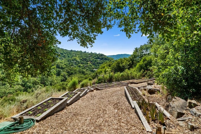 view of yard featuring a mountain view