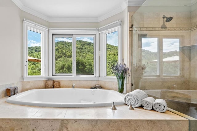 bathroom featuring plus walk in shower and ornamental molding