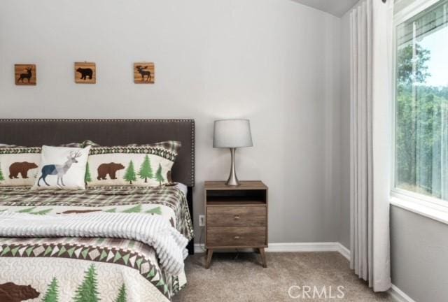 bedroom featuring carpet floors