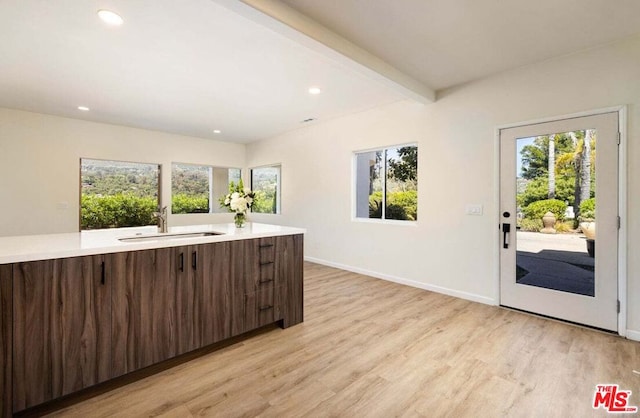 kitchen featuring dark brown cabinets, a healthy amount of sunlight, light hardwood / wood-style floors, and sink