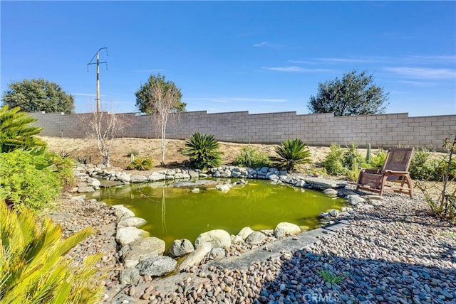 view of yard featuring a garden pond