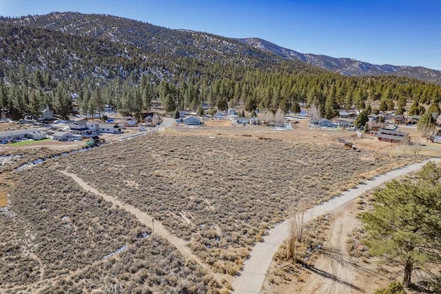 46850 Lakewood Dr, Big Bear CA, 92314 land for sale