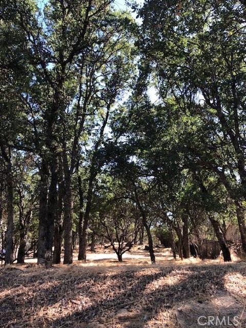19200 Moon Ridge Rd, Hidden Valley Lake, CA 95467 - photo 1