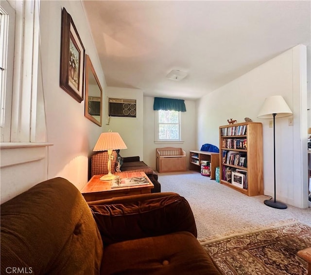 bedroom featuring carpet floors