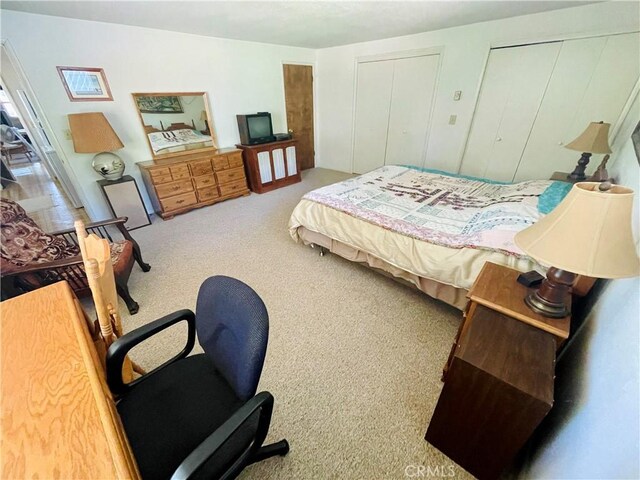 bedroom with carpet flooring and multiple closets