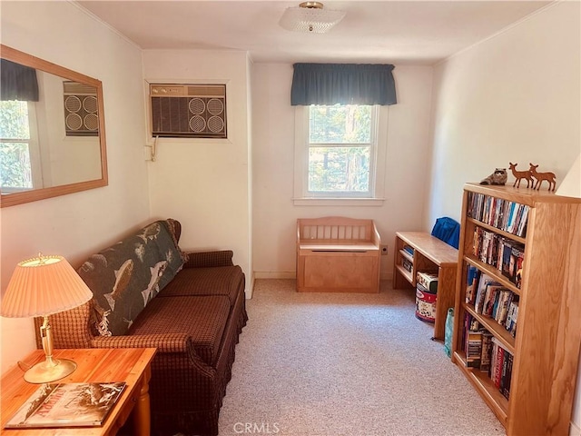 living area featuring carpet flooring and a wall mounted AC