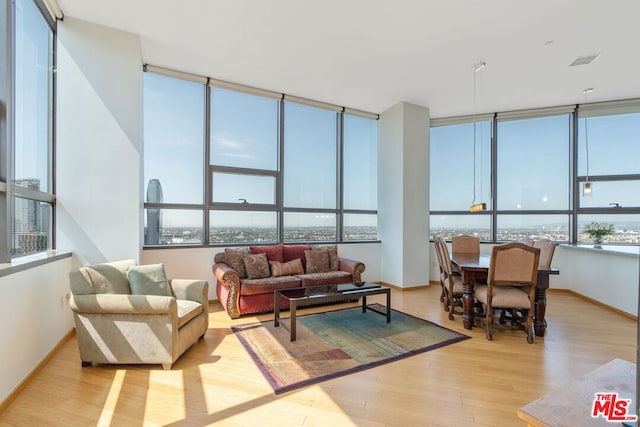 living room featuring light hardwood / wood-style flooring and a healthy amount of sunlight