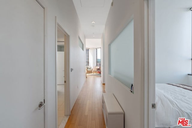 hall featuring light hardwood / wood-style floors