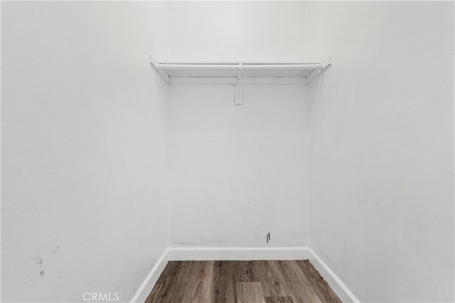 walk in closet featuring hardwood / wood-style flooring