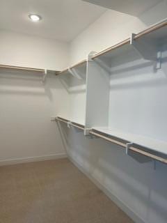 walk in closet featuring carpet floors