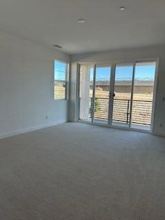 carpeted spare room with a wealth of natural light