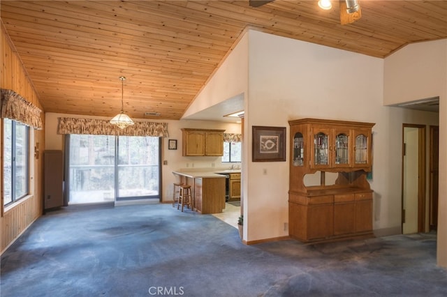 489 Woodside Dr, Big Bear City, CA 92314 - photo 5