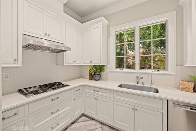 kitchen featuring white cabinetry, sink, ornamental molding, and appliances with stainless steel finishes