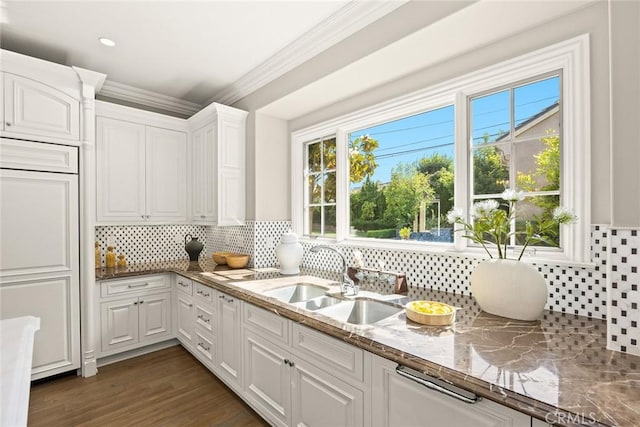 kitchen with tasteful backsplash, white cabinetry, crown molding, and sink