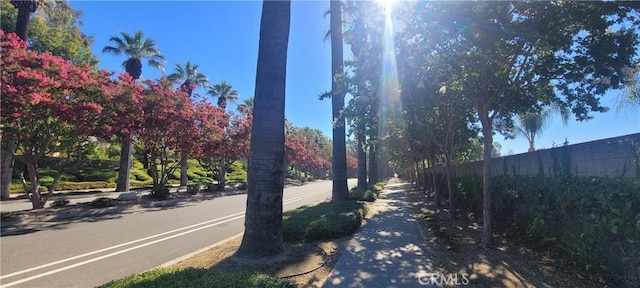 view of road with sidewalks