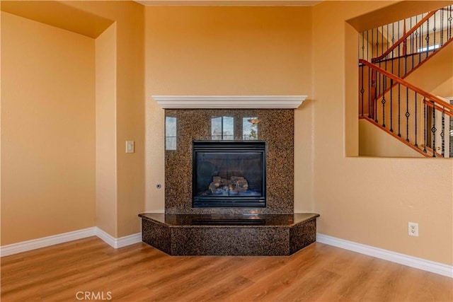 details featuring a premium fireplace, baseboards, and wood finished floors