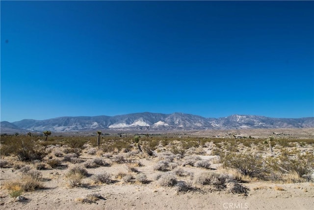 0 Woodland St, Lucerne Valley, CA 92356 - photo 3
