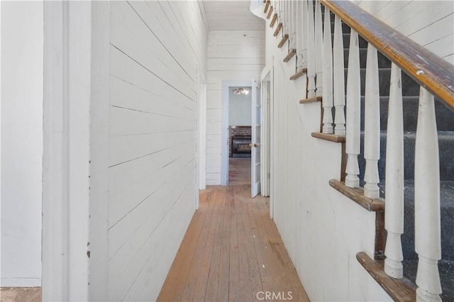 hall featuring wood-type flooring and wooden walls