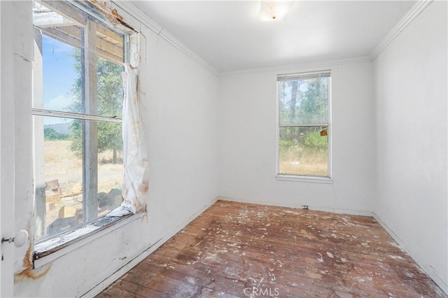 spare room featuring ornamental molding and dark hardwood / wood-style floors