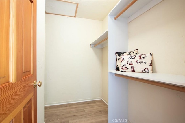 spacious closet featuring wood-type flooring