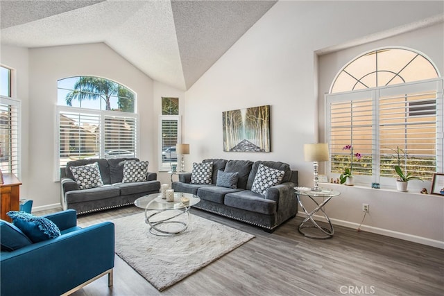 living room with hardwood / wood-style floors, high vaulted ceiling, and a textured ceiling