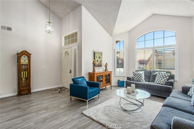 living room with wood-type flooring, a textured ceiling, and high vaulted ceiling