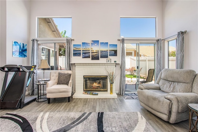 living room with a fireplace, light hardwood / wood-style flooring, a wealth of natural light, and a towering ceiling