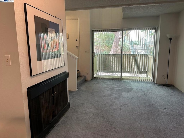 interior space featuring carpet and a textured ceiling