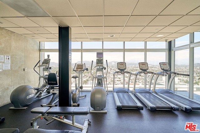 workout area with a drop ceiling, a wealth of natural light, and floor to ceiling windows