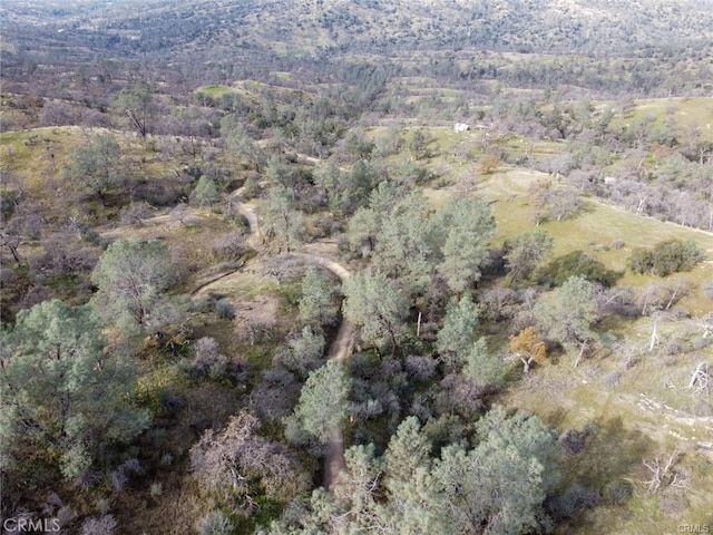 Listing photo 3 for 37749B Misty Ridge Rd, Raymond CA 93653