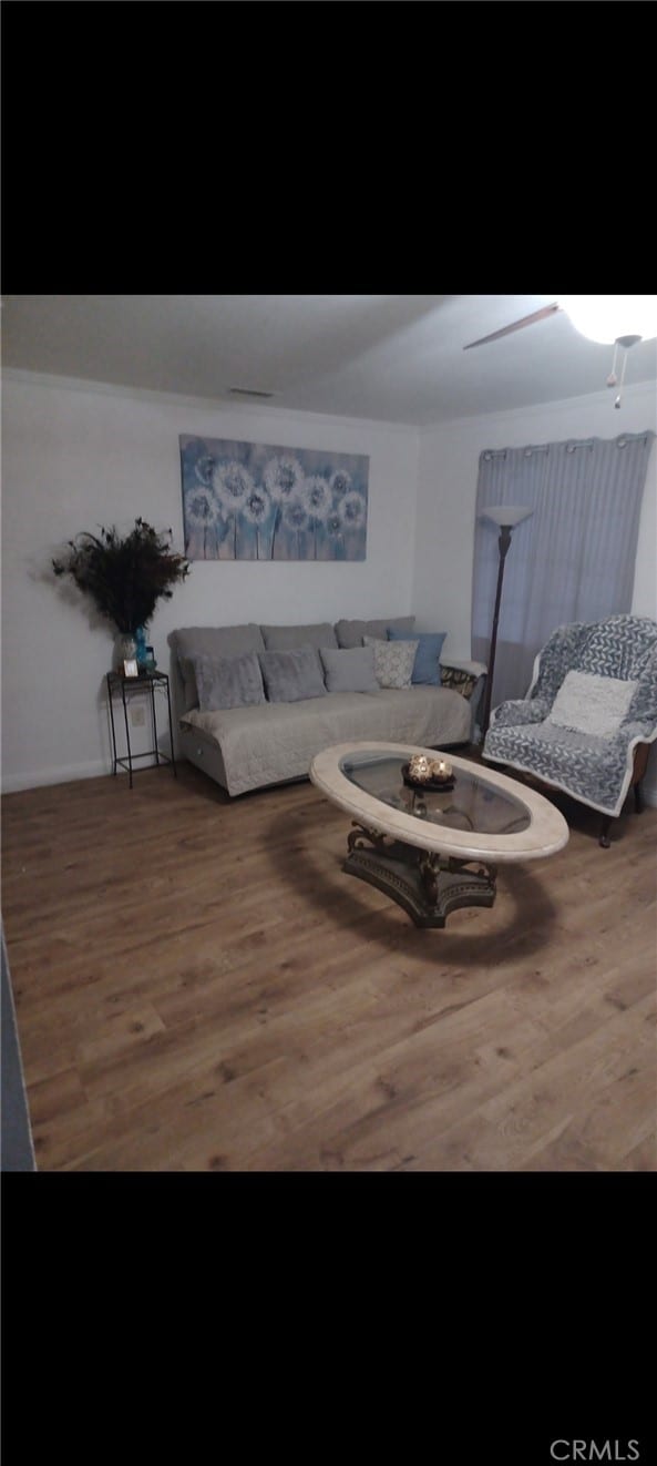 living room featuring ceiling fan and hardwood / wood-style flooring