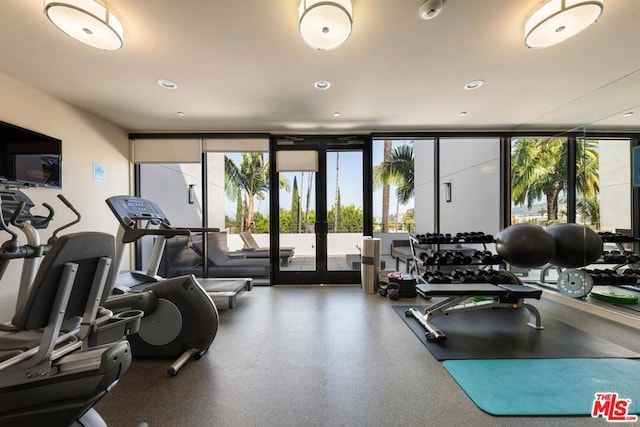 workout area with expansive windows, french doors, and plenty of natural light